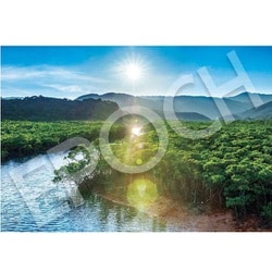 26-361s 世界遺産シリーズ 西表島（日本） [ジグソーパズル めざせ！パズルの達人 300ピース（完成サイズ：26×38cm）]