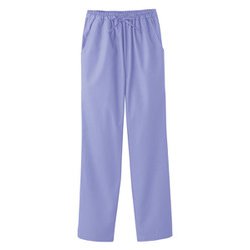 医療・介護 パンツ レディスストレートパンツ サックス L 6012SC-2-L