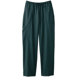 医療・介護 パンツ ストレートパンツ レイガンネイビー L 5020SC-17-L