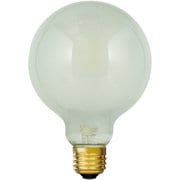 LEDフィラメント電球 LDF76 Siphon(サイフォン) ボール95 フロスト E26 5800K LDF76