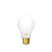 LDF201 [LEDフィラメント電球 LDF201 Siphon（サイフォン） ザ・バルブ60 ホワイト E26 2700K]