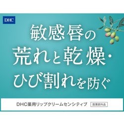 ヨドバシ.com - DHC ディーエイチシー 薬用リップクリーム