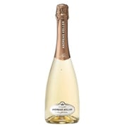 アンドレアス・ケラー エクストラ・ドライ・ミレジマート 11.5度 750ml イタリア [スパークリングワイン]