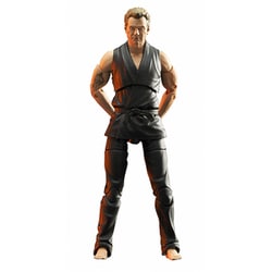 ヨドバシ.com - ダイアモンドセレクトトイズ コブラ会 Cobra Kai