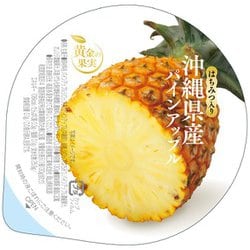 黄金の果実 はちみつ入り 沖縄県産 パイン 130g
