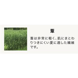 ヨドバシ.com - ロマンス小杉 1541021001900 綿肌掛けふとん