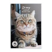 限定 ノートダイアリー2022 A6 ねこ1 NS-A601-22CA1