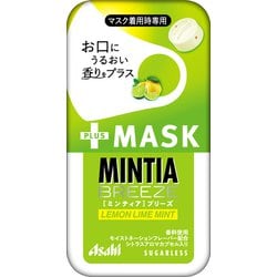 オンライン限定商品】 MINTIA様専用 [いずもたくみ様専用］ミンティア