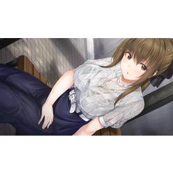 アイキス 完全生産限定版 Switch アイキス 完全生産限定版｜の通販はソフマップ[sofmap]