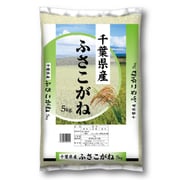 精米 千葉県産ふさこがね 5kg 令和6年産