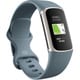 FB421SRBU-FRCJK [Fitbit Charge 5（フィットビット チャージ 5） フィットネストラッカー GPS/NFC搭載 Steel Blue/Platinum スチールブルー/プラチナ L/S サイズ]