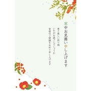 寒中はがき 3枚入 椿と南天 KPC-039