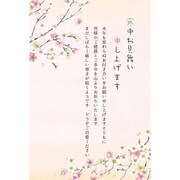 寒中はがき 3枚入 紅白の梅 KPC-044