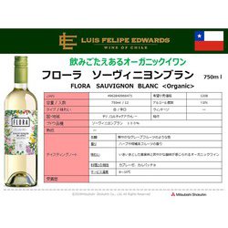 ヨドバシ Com ルイスフェリペエドワーズ Luis Felipe Edwards ルイスフェリペエドワーズ フローラ ソーヴィニョンブラン 13度 750ml 白ワイン 通販 全品無料配達