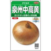泉州中高黄 タマネギ 1袋
