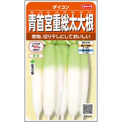 青首宮重 総太 大根 1袋