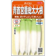 青首宮重 総太 大根 1袋
