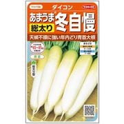冬どりあまうま大根 冬自慢 1袋