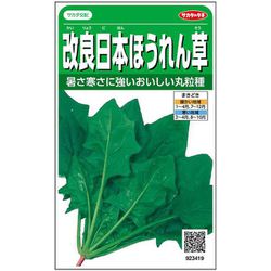 改良日本ほうれん草 パレード 1袋