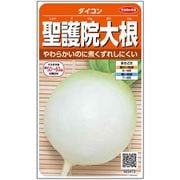聖護院大根 1袋
