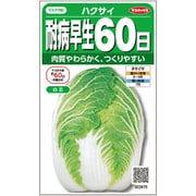 耐病早生 60日 白菜 1袋