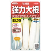 強力大根 秋相撲 1袋