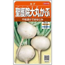 聖護院大丸 かぶ 1袋