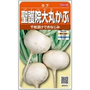 聖護院大丸 かぶ 1袋