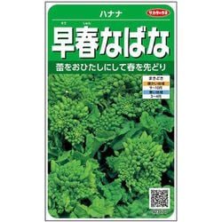 早春なばな 1袋