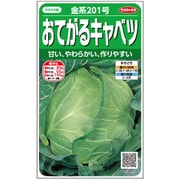 おてがるキャベツ 金系 201号 1袋