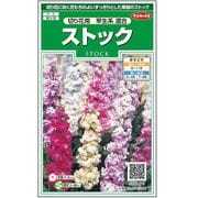 ストック 切花用早生系混合 1袋