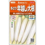 冬どり年越し大根 冬みねセブン 1袋