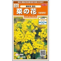 菜の花 寒咲系混合 1袋