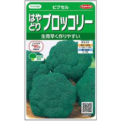 はやどりブロッコリー ピクセル 1袋