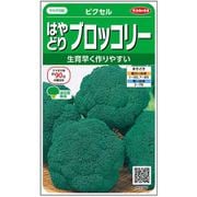 はやどりブロッコリー ピクセル 1袋