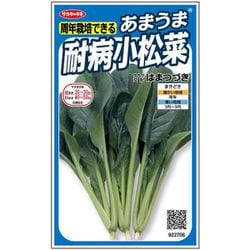 あまうま耐病小松菜 はまつづき 1袋