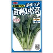 あまうま耐病小松菜 はまつづき 1袋