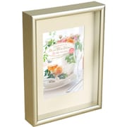 シャインBOXフレーム 2L SHBX-2L