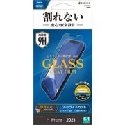 AE3075IP161 [iPhone 13用 GLASS coat film ブルーライトカット高光沢]