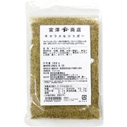 01291402 キャラメルシュガー 100g