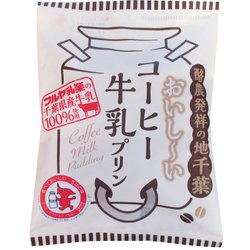 富士正＋食品 おいしいコーヒー牛乳プリン7個