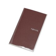 手帳 2022年 マンスリー ノート ダイアリー DARKTONE ポケット Wレッド DM-DT-04