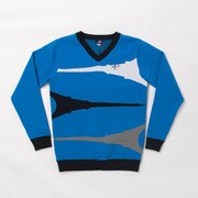 CL5LTJ52 M BLU [Vネックニット メンズ Mサイズ BLU]