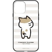 ghp7263-bk-e-ip13mini [iPhone 13 mini用ケース E.フリムキチャンパチ スガワラアイ ハイブリッドケース]
