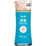 スマートスパイス 岩塩 23g