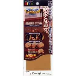 KP-24 [カラーパッチ 転写タイプ No.24 バーチ]