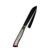 EBM E-pro PLUS 三徳型 16.5cm レッド