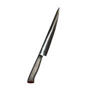 EBM E-pro PLUS 筋引 27cm レッド