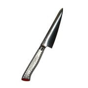 EBM E-pro PLUS 骨スキ 角型 15cm レッド