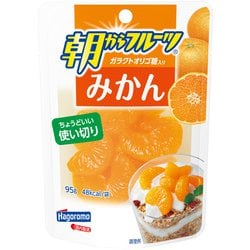 朝からフルーツ みかん（パウチ） 95g